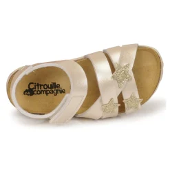 Citrouille et Compagnie - OKILIA