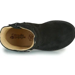 Sale Citrouille et Compagnie - NESTI Noir