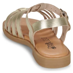 Citrouille et Compagnie - CANCUN Gold Hot