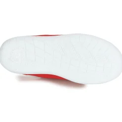 Citrouille et Compagnie - GLASSIA Rouge New