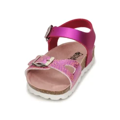 Citrouille et Compagnie - RELUNE