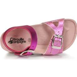 Citrouille et Compagnie - RELUNE