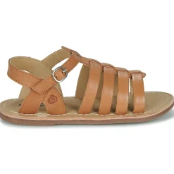 Citrouille et Compagnie - INALA Camel Sale