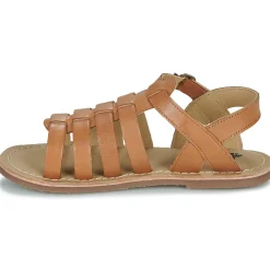 Citrouille et Compagnie - INALA Camel Sale