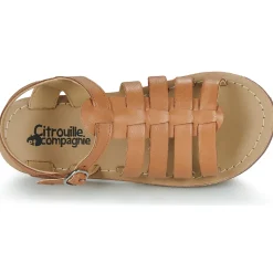 Citrouille et Compagnie - INALA Camel Sale