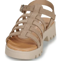 Citrouille et Compagnie - NASAKA