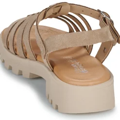 Citrouille et Compagnie - NASAKA