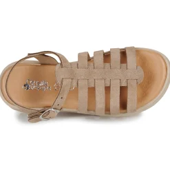 Citrouille et Compagnie - NASAKA