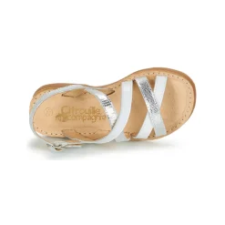 Clearance Citrouille et Compagnie - GENTOU