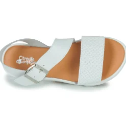 Clearance Citrouille et Compagnie - PALETTE Blanc