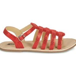 Sale Citrouille et Compagnie - MAYANA Rouge