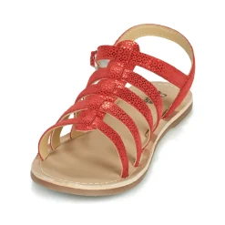 Sale Citrouille et Compagnie - MAYANA Rouge