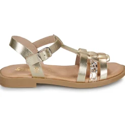 Best Citrouille et Compagnie - TALEAU Gold