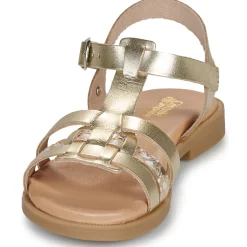 Best Citrouille et Compagnie - TALEAU Gold