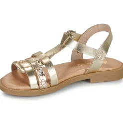 Best Citrouille et Compagnie - TALEAU Gold