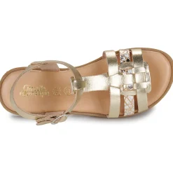 Best Citrouille et Compagnie - TALEAU Gold