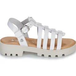 Citrouille et Compagnie - NASAKA