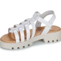 Citrouille et Compagnie - NASAKA