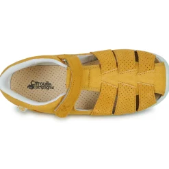 Discount Citrouille et Compagnie - SABLO Jaune