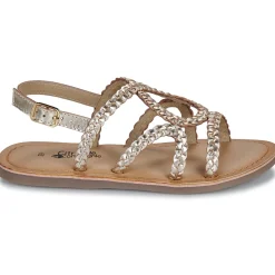 Citrouille et Compagnie - TRESSA Gold Outlet