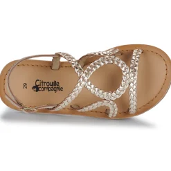 Citrouille et Compagnie - TRESSA Gold Outlet