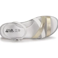 Citrouille et Compagnie - IZOEGL Outlet