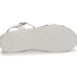 Citrouille et Compagnie - IZOEGL Outlet