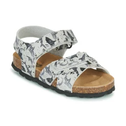 Citrouille et Compagnie - OMAYO