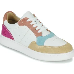 Citrouille et Compagnie - FITOS