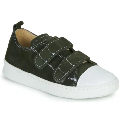 Citrouille et Compagnie - NADIR Kaki Online