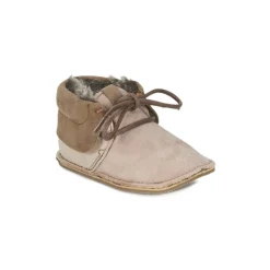 Citrouille et Compagnie - FELOPE