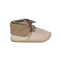 Citrouille et Compagnie - FELOPE