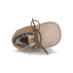 Citrouille et Compagnie - FELOPE