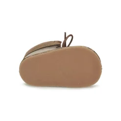 Citrouille et Compagnie - FELOPE