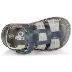 Citrouille et Compagnie - IOUTIKER