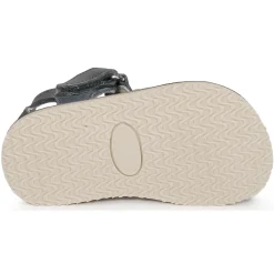 Citrouille et Compagnie - IOUTIKER