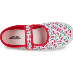 New Citrouille et Compagnie - IVALYA