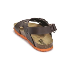 Citrouille et Compagnie - KELATU