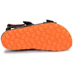 Citrouille et Compagnie - KELATU