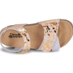 Online Citrouille et Compagnie - CHOMINA Orange