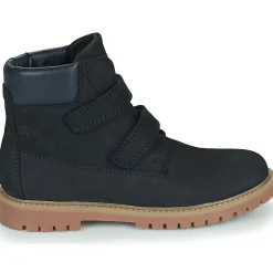 Citrouille et Compagnie - PAXA Bleu