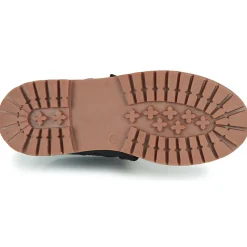 Citrouille et Compagnie - PAXA Bleu