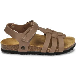 Citrouille et Compagnie - JANISOL