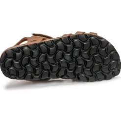 Citrouille et Compagnie - JANISOL