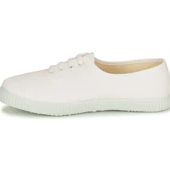 Citrouille et Compagnie - KIPPI BOU