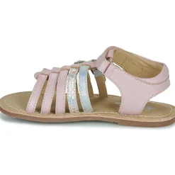 Citrouille et Compagnie - CIELETTE