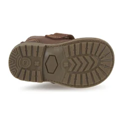 Citrouille et Compagnie - MELDUNE Marron