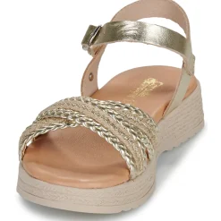 Sale Citrouille et Compagnie - PIXI Gold