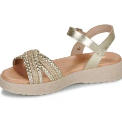 Sale Citrouille et Compagnie - PIXI Gold