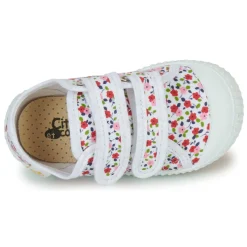 Citrouille et Compagnie - MINOT Best